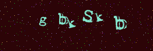 Validation image