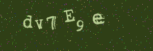 Validation image