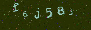 Validation image